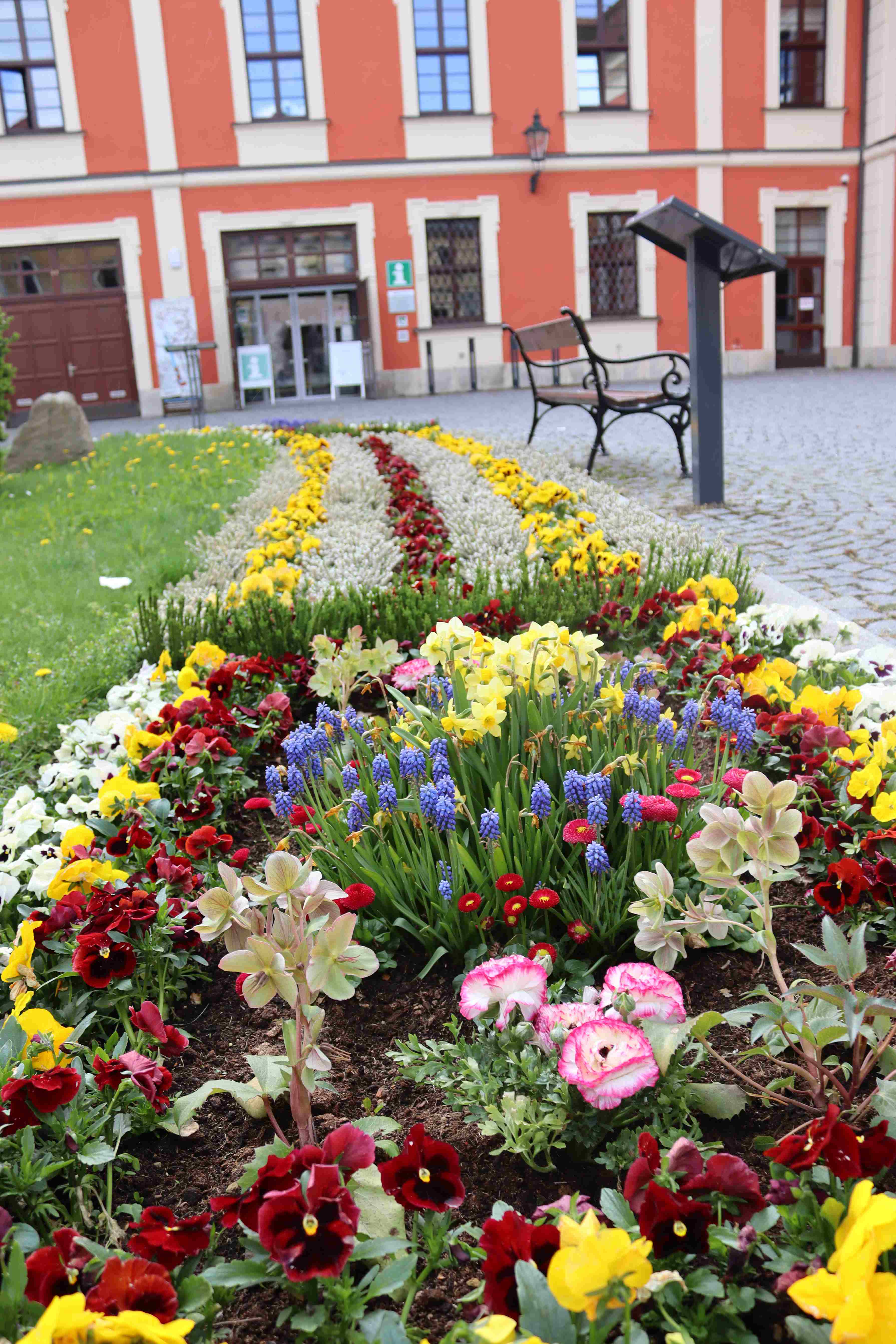 Ornamentální záhon – realizace, foto 6