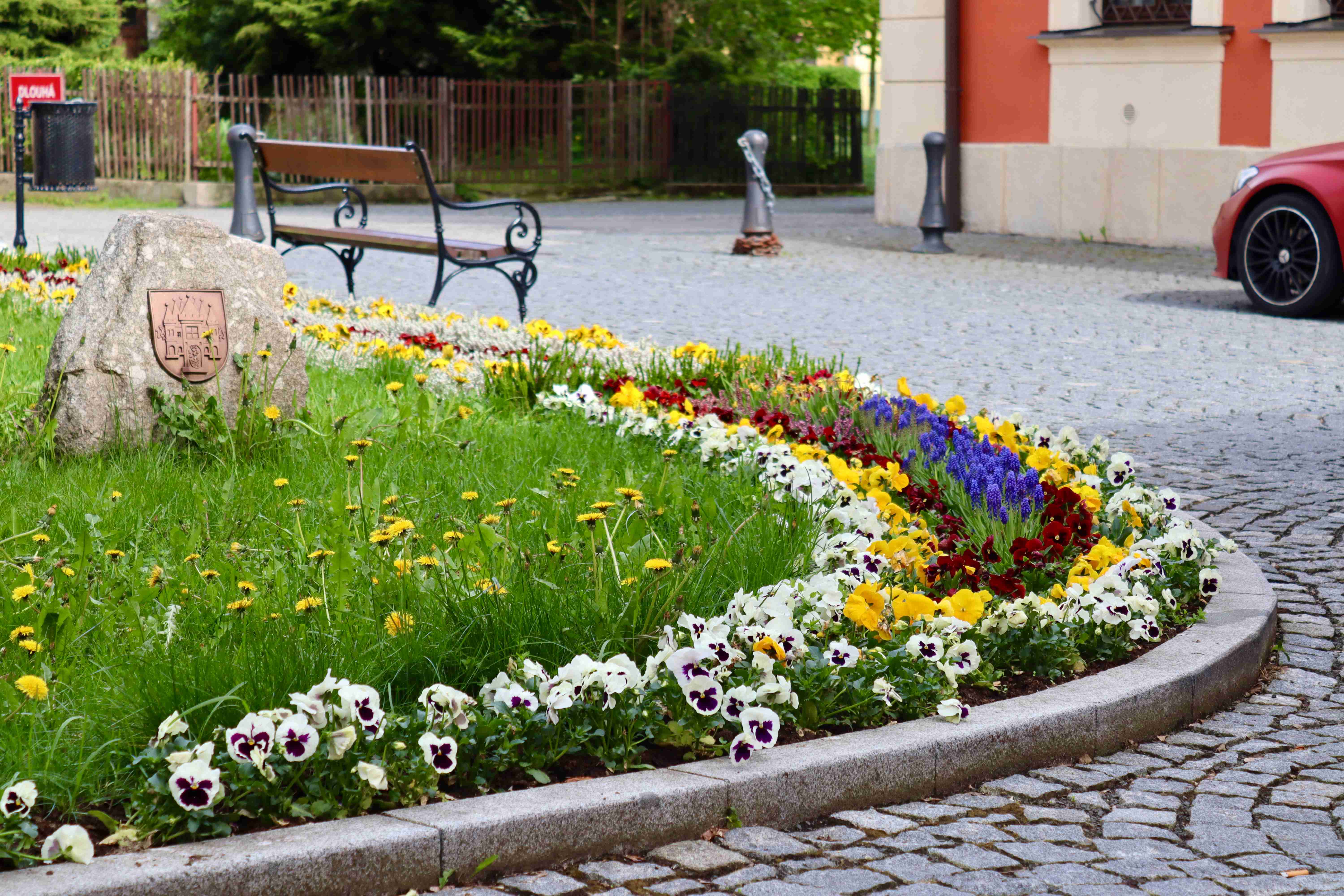Sezónní záhon – jarní osazení, foto 4
