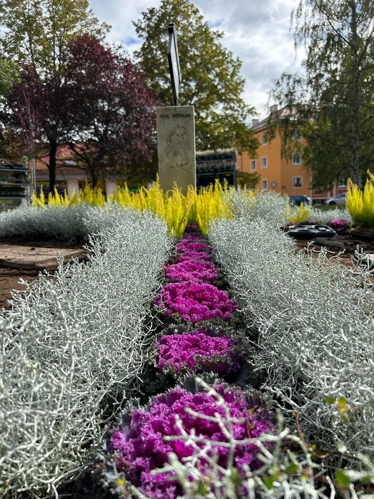 Sezónní záhon – podzimní osazení, foto 1