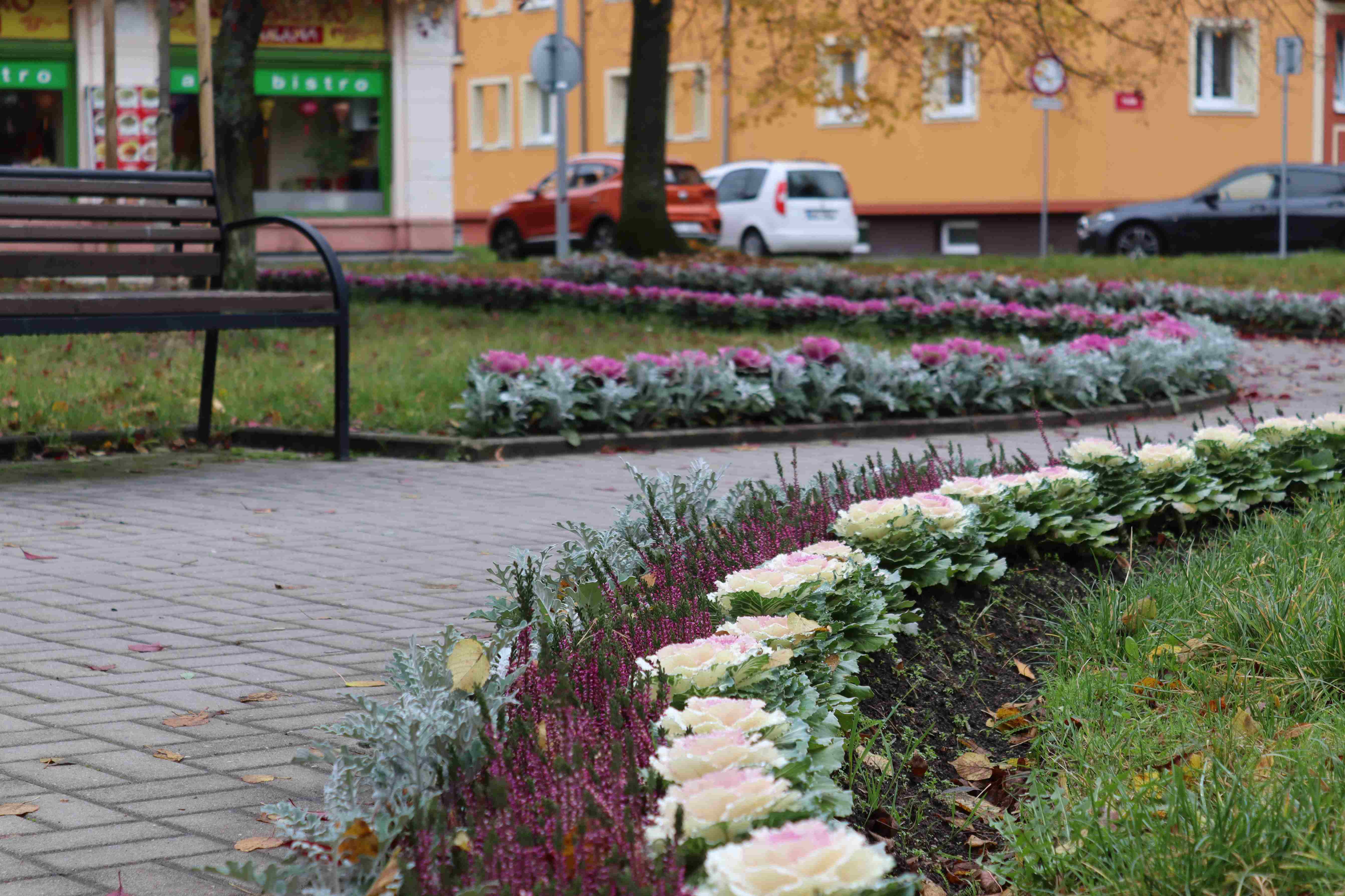 Sezónní záhon – podzimní osazení, foto 5